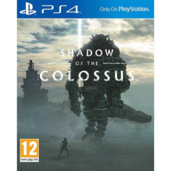SHADOW OF THE COLOSSUS...