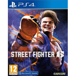 STREET FIGHTER 6 "OCCASION"