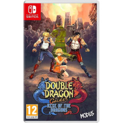 DOUBLE DRAGON COLLECTION
